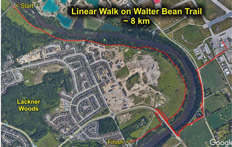 Linear Walk on Walter Bean Trail Linear Walk on Walter Bean Trail