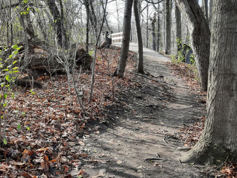 Trail up to a new bridge over stormwater spillway Trail up to a new bridge over stormwater spillway