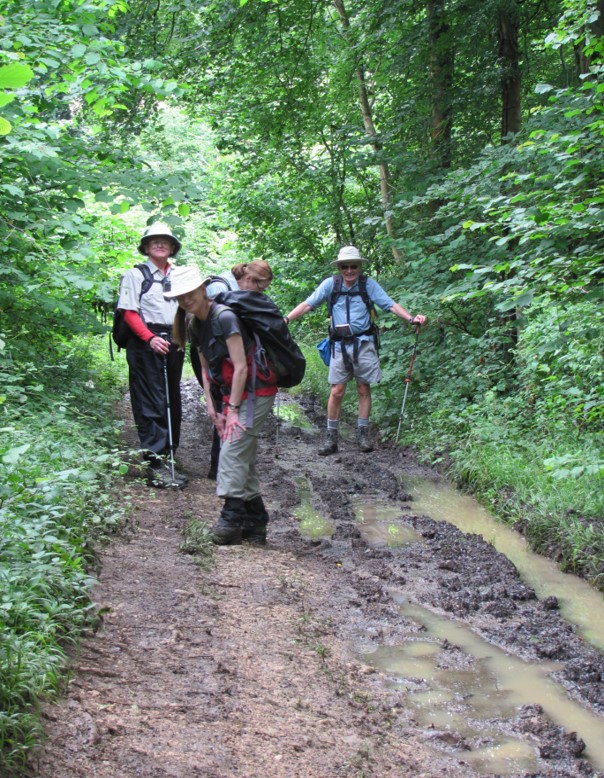 Rain the day before created a few muddy spots. Rain the day before created a few muddy spots.