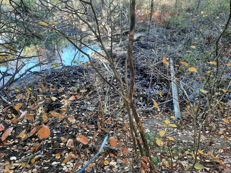 Beaver Dam