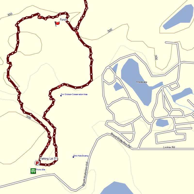 Pre-2018 FWR Dickson Loop