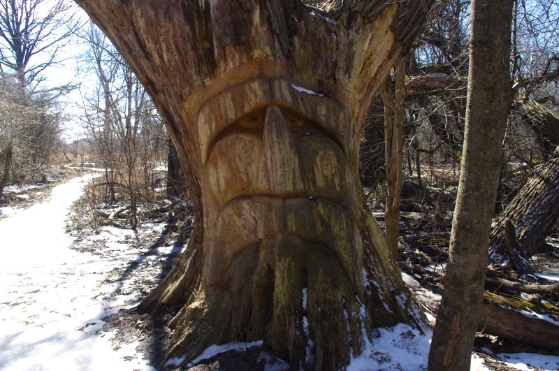 HVT Tree Spirit HVT Tree Spirit