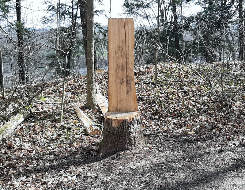 Bench Stump Bench Stump