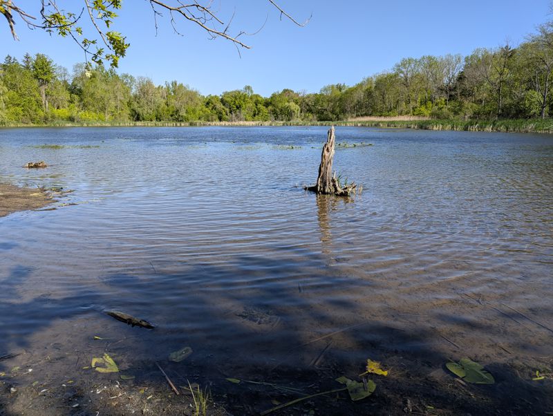Lakeside Park pond Lakeside Park pond