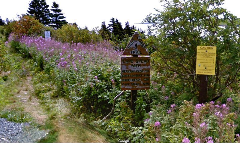 Start Cape Spear Path in Maddox Start Cape Spear Path
