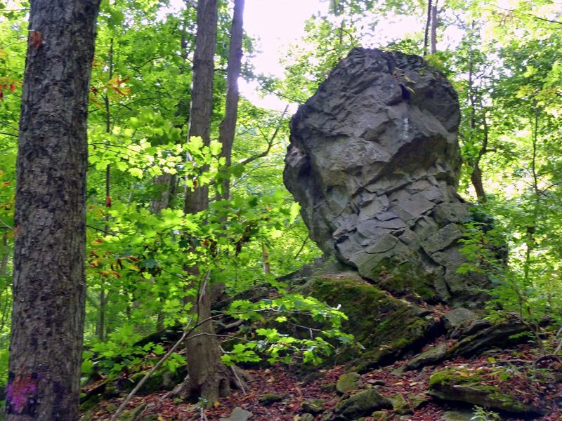 Niagara Glen