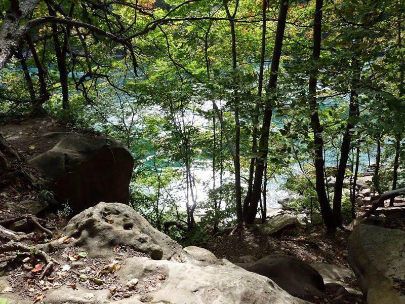 Niagara Glen