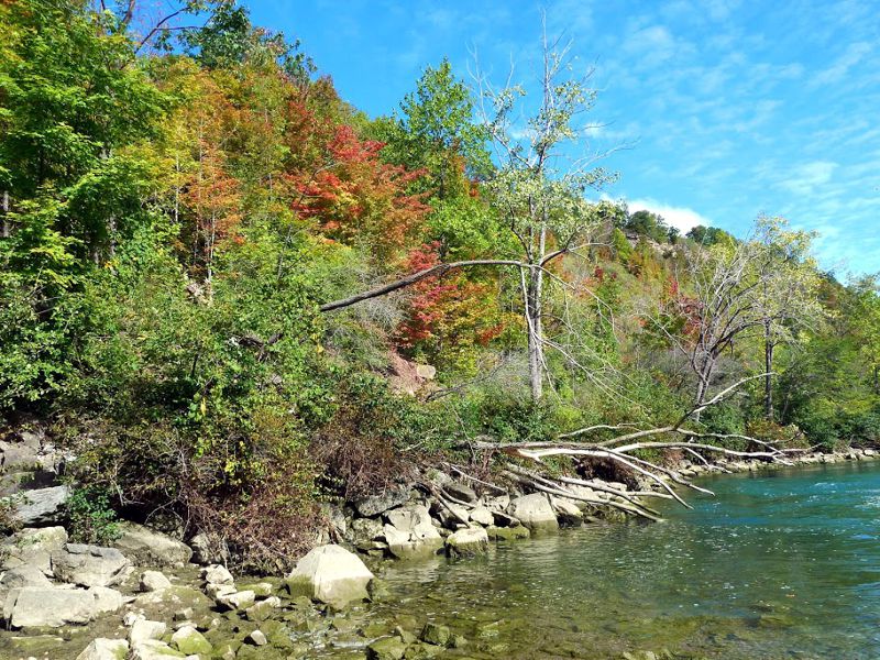 Niagara Glen