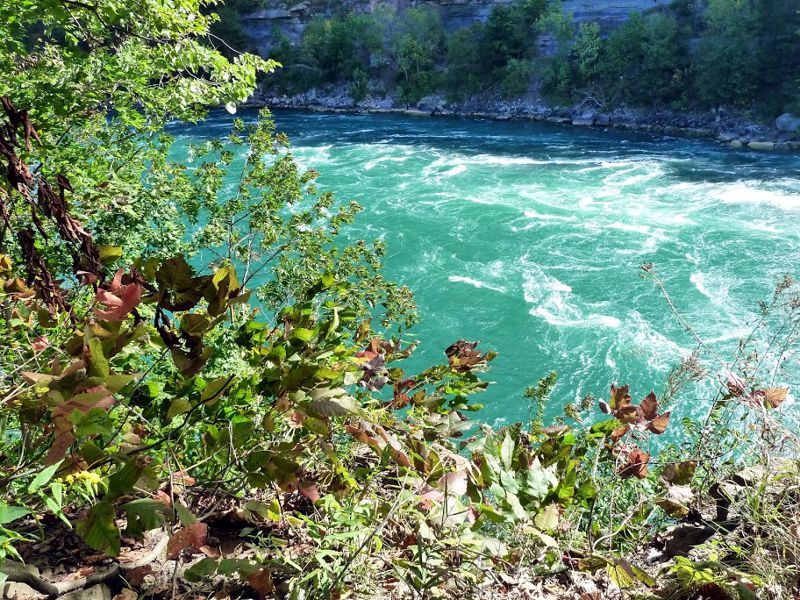 Niagara Glen