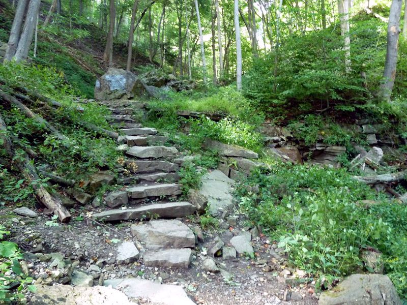 Niagara Glen