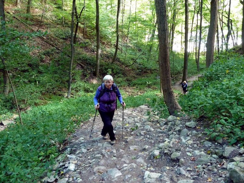 Niagara Glen