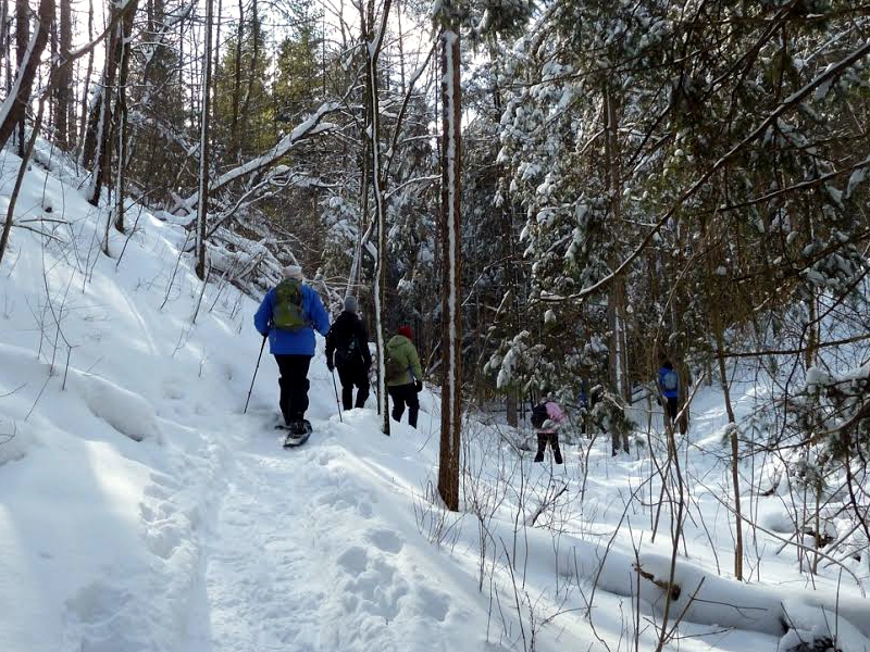 Snowshoeing at Petersburg Regional Forest Snowshoeing at Petersburg Regional Forest