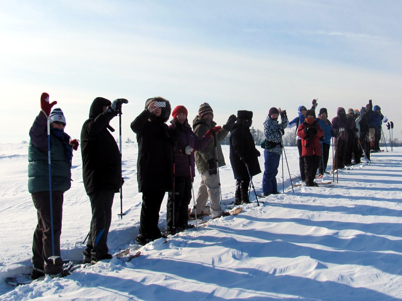 rare Snowshoe 2014 rare Snowshoe 2014