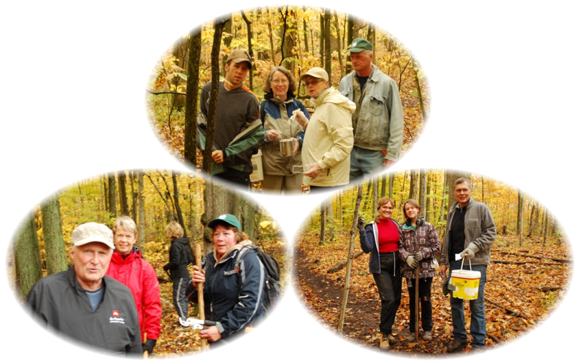 Walker Woods