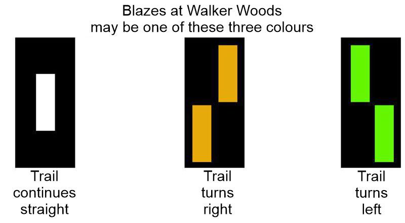 Walker Woods Blazes