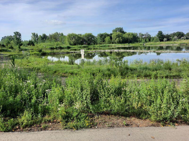Storm Water Management Pond Storm Water Management Pond