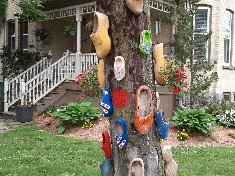Dutch Shoe Tree Dutch Shoe Tree