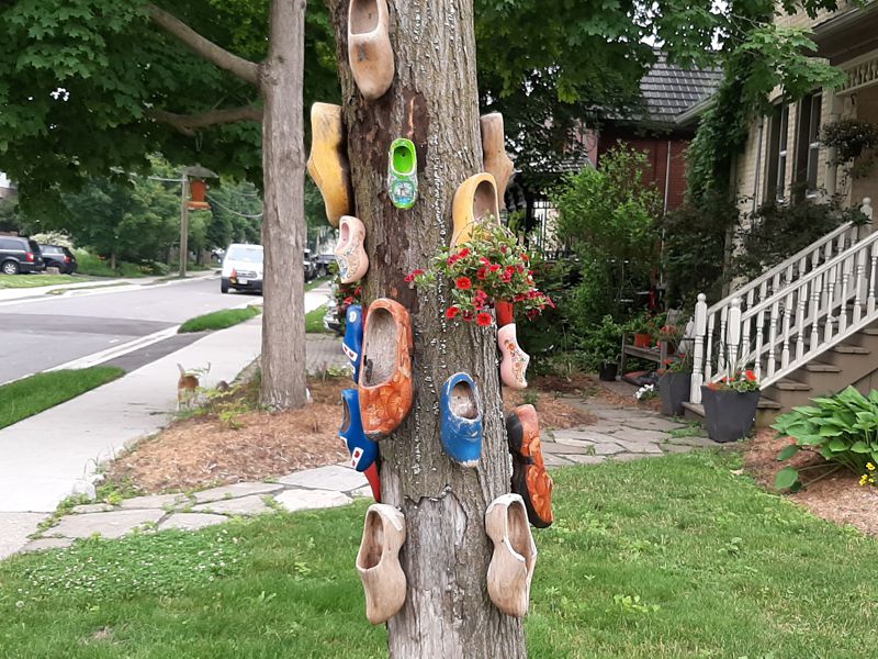 Dutch Shoe Tree Dutch Shoe Tree
