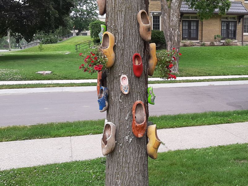 Dutch Shoe Tree Dutch Shoe Tree