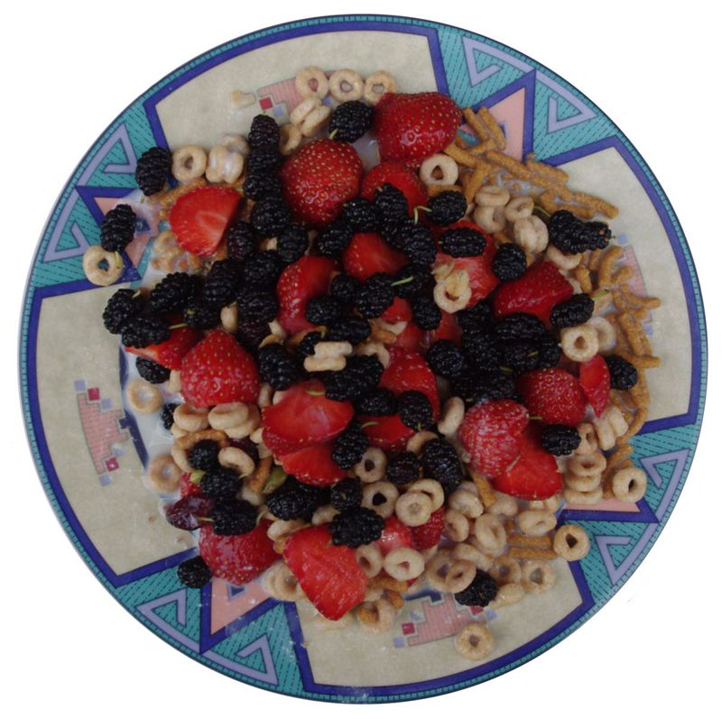 Red Ripe Mulberry Red Ripe Mulberry