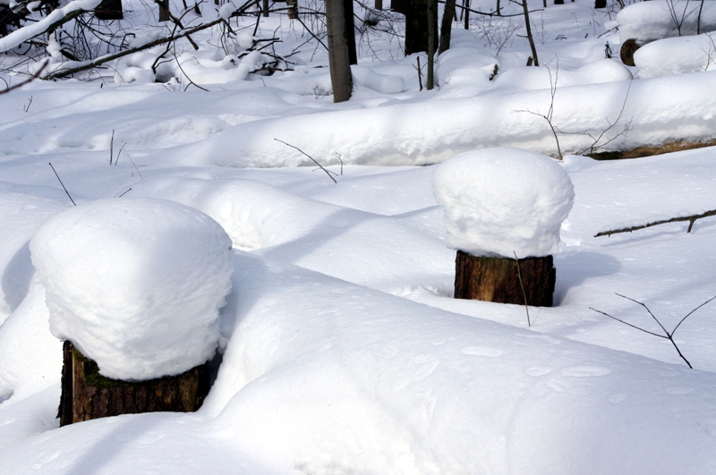 Snowstools Snowstools