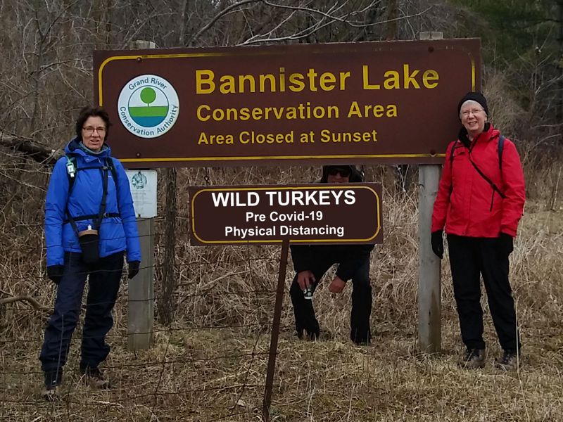 Wild Turkeys 2020 Wild Turkeys 2020